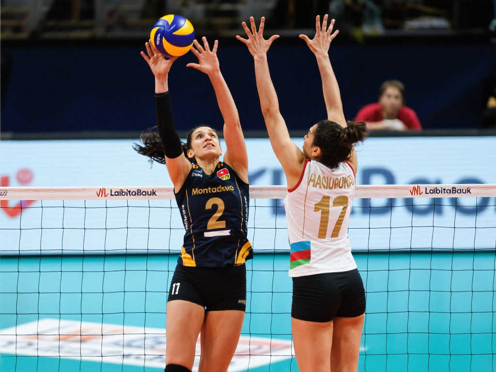 2010年以来，哪一届女排欧冠冠军队的主攻组合最令你印象深刻？